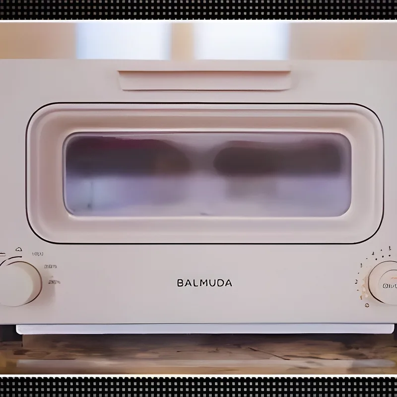 Balmuda The Toaster