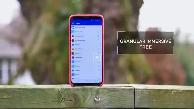 Granular Immersive Mode