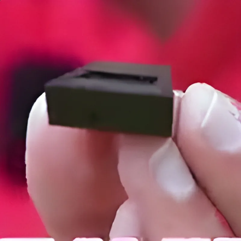 Tesla Cyberwhistle