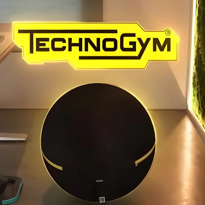 Technogym Wellness Ball