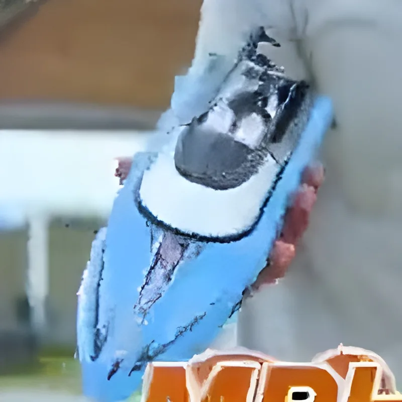 $100 RC Boat