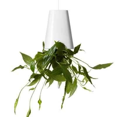 Boskke Sky Planter