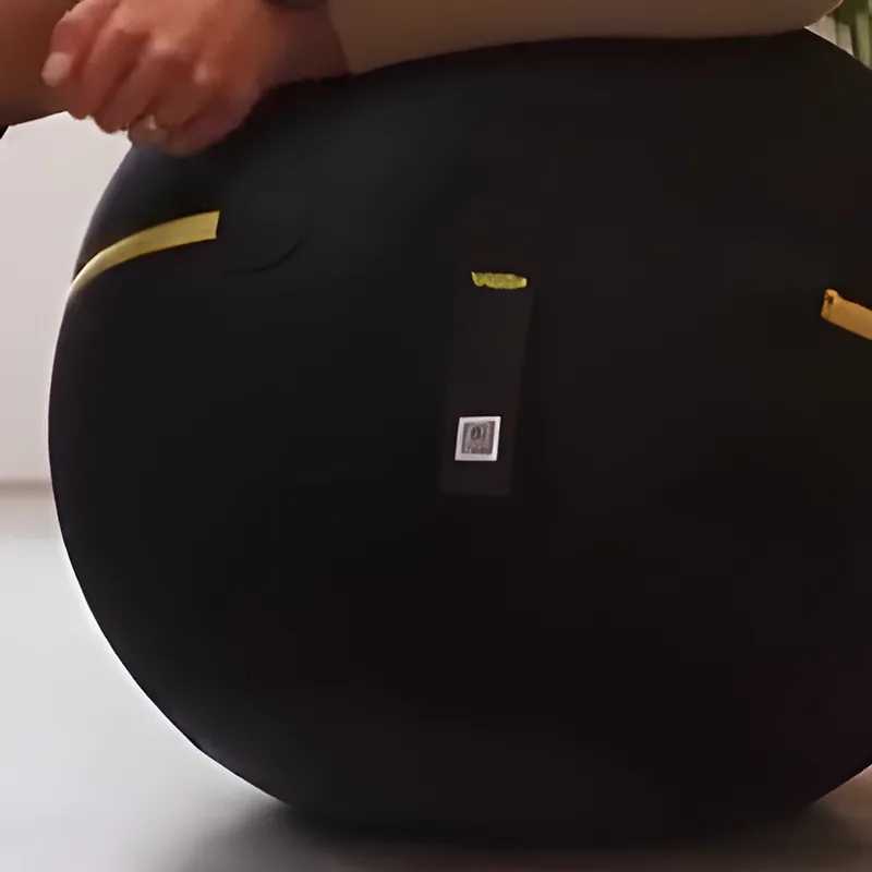 Wellness Ball