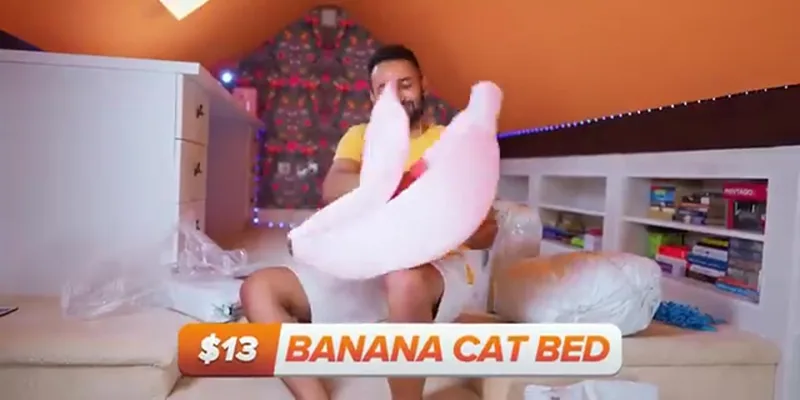 Temu Giant Banana Cat Bed