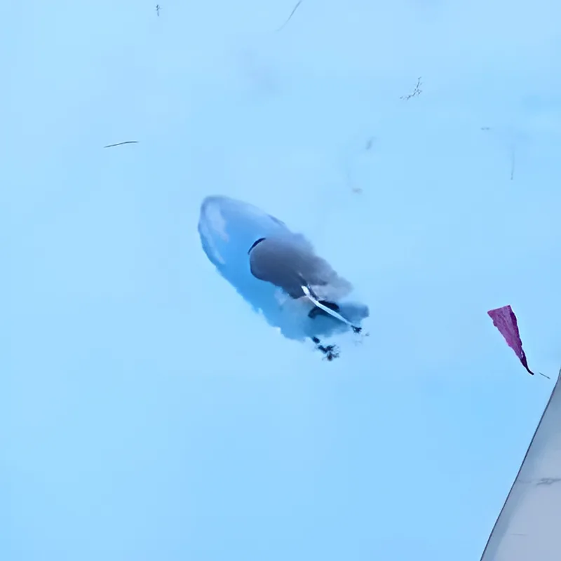 $30 Remote Control Boat