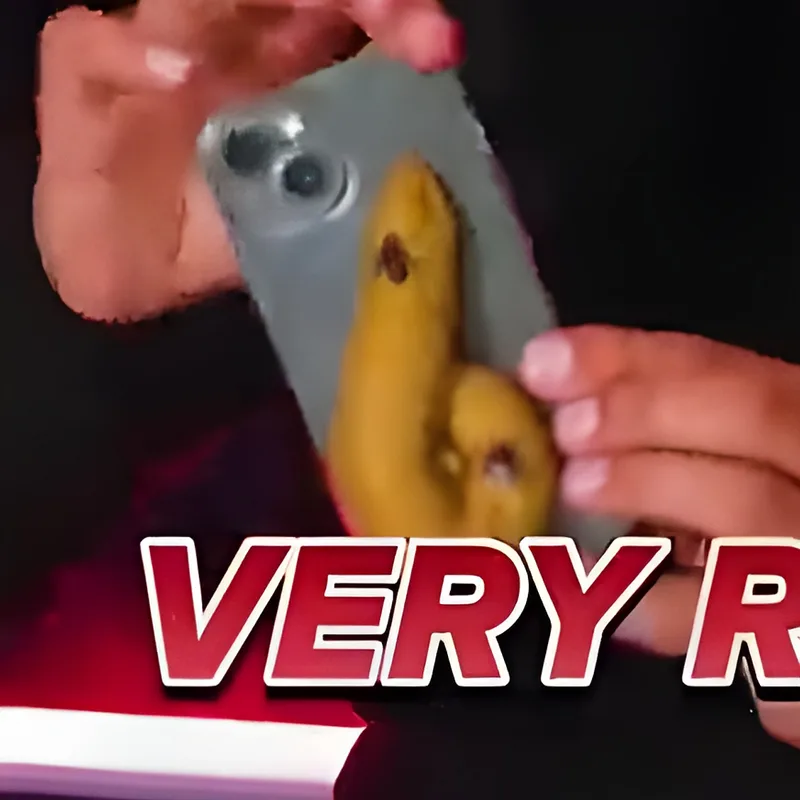 Dog Poo Phone Case