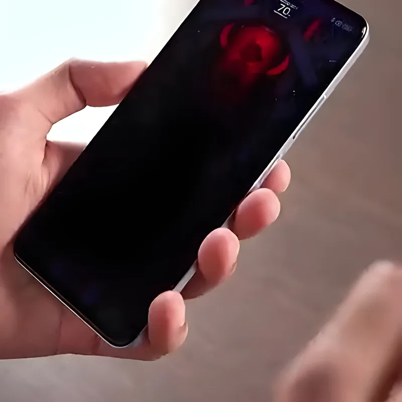 One Piece Phone
