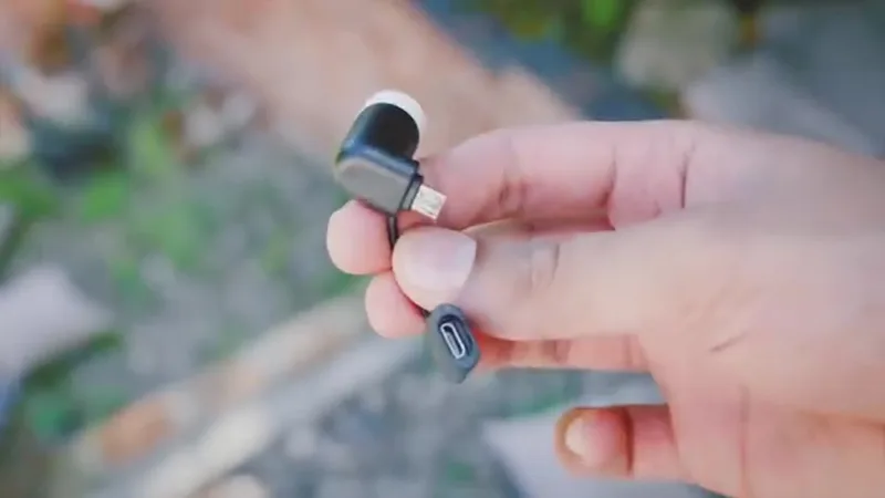 Smartphone fan