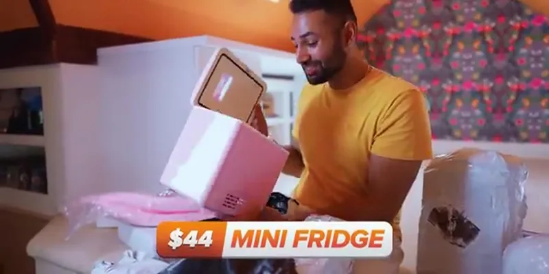 Temu Mini Fridge
