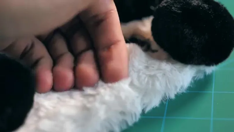 Fluffy phone case