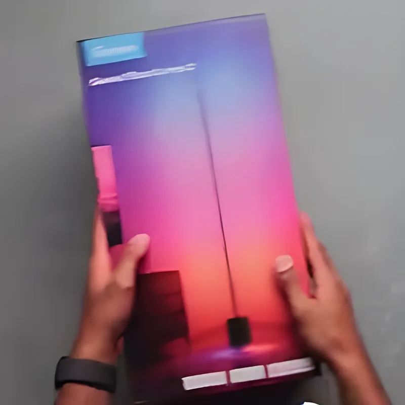 Govee Floor Lamp 2