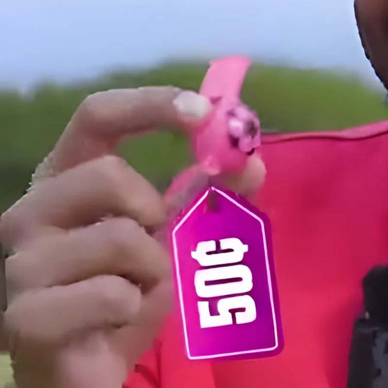50 Cent Whistle