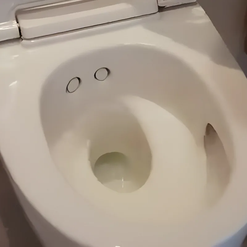 Geberit AquaClean Mera
