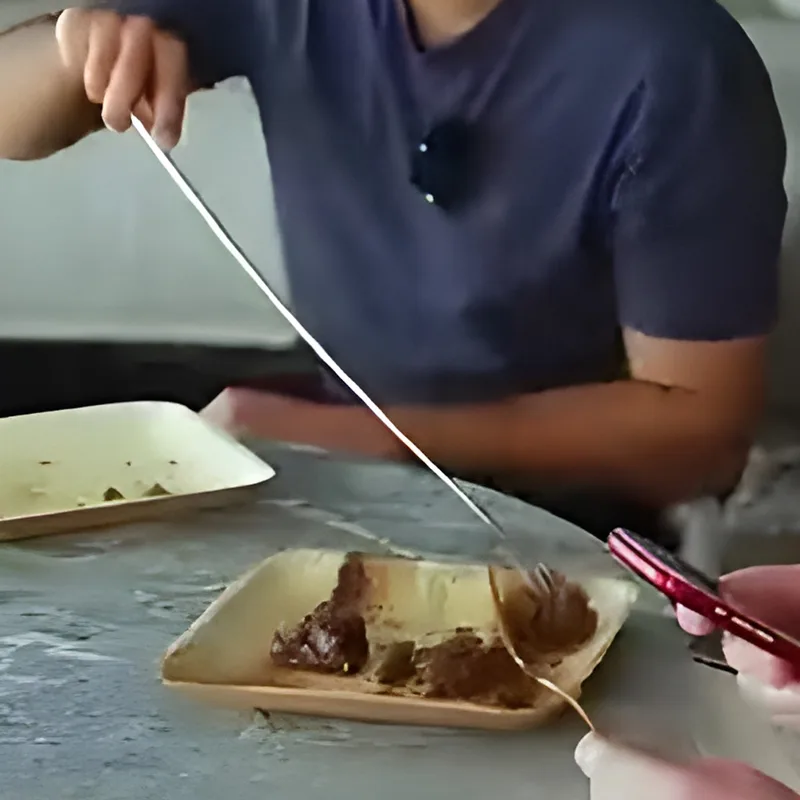 Telescopic Fork