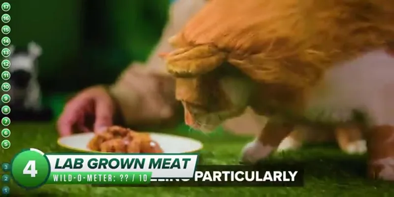 Lab-grown Meat