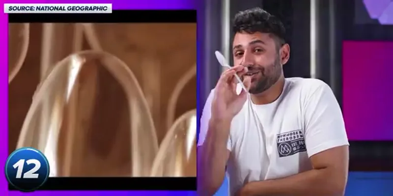 Bakey's Edible Spoons