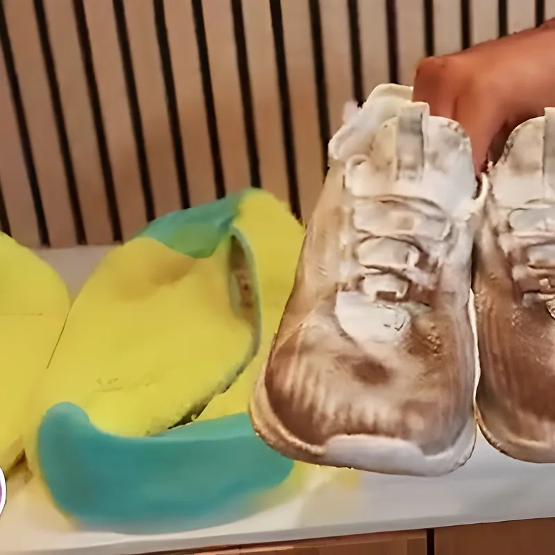 Laundry Shoe Bags