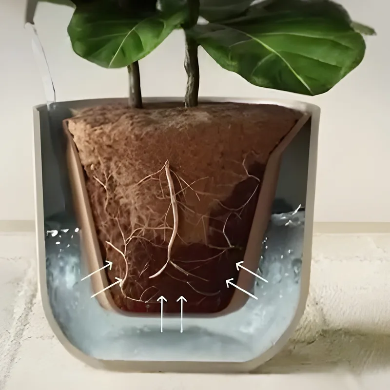 Easy Plant Self-Watering Pot