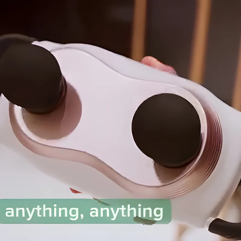 Korean multi-plate massager