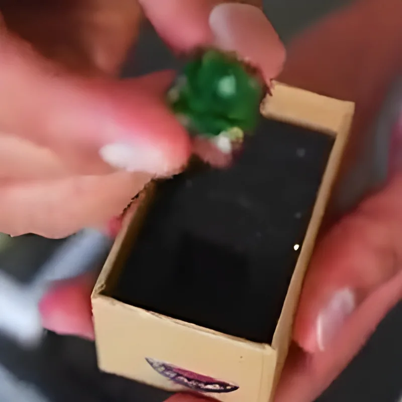 House plant keycap