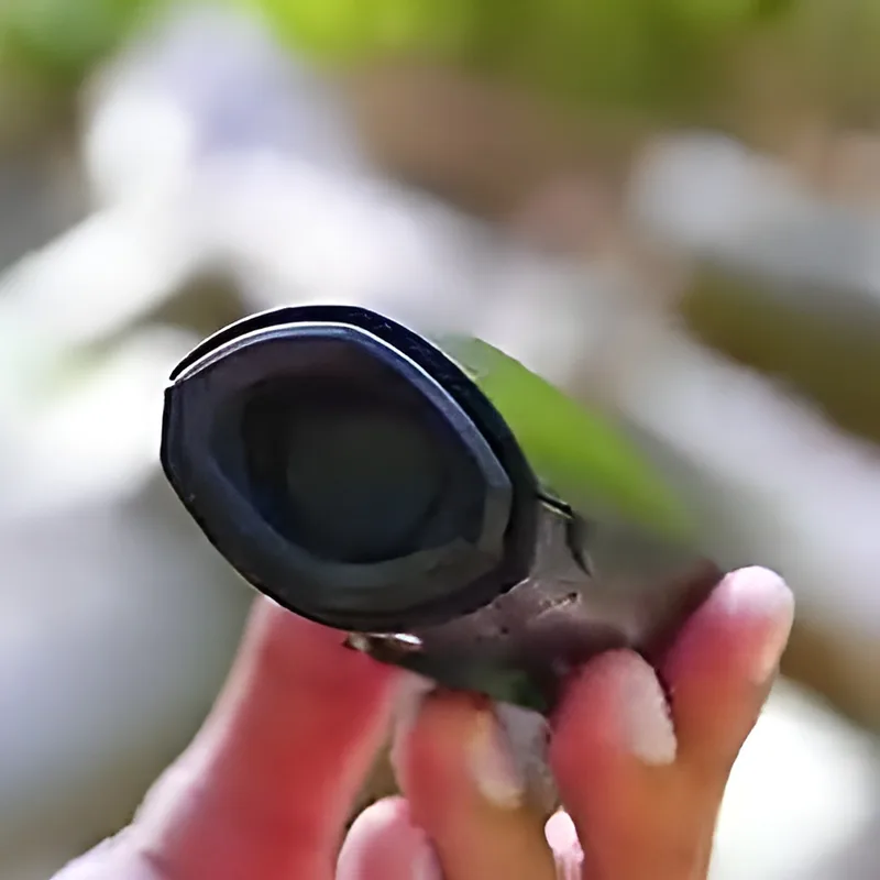 Electronic Horn