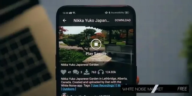 White Noise Market