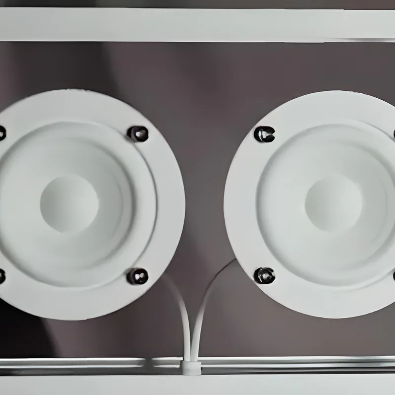 Transparent Speaker