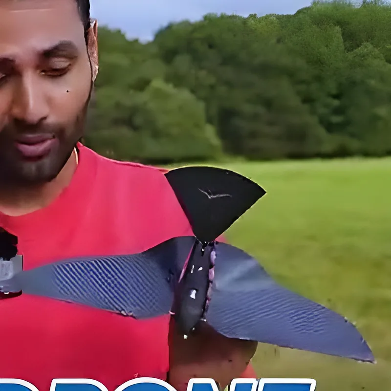 Bionic Bird