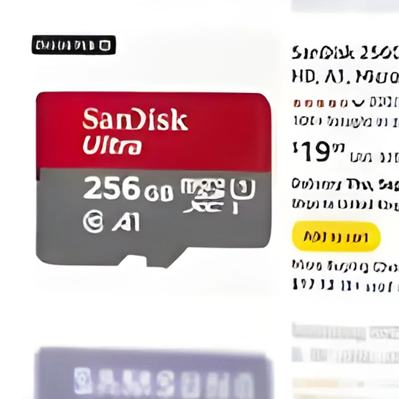 SanDisk microSD Card