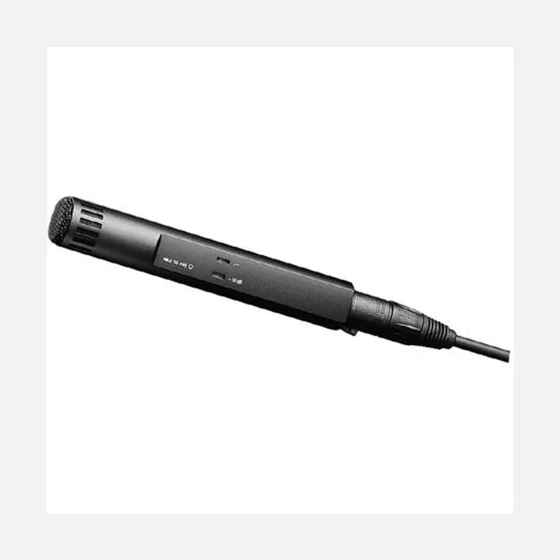 Sennheiser MKH 50 (highest-tier narrow pickup mic)