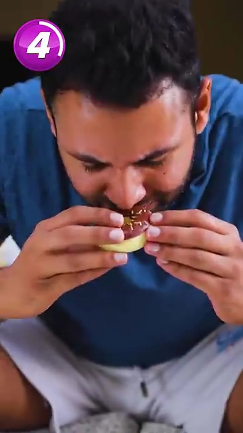 Donut PopSocket