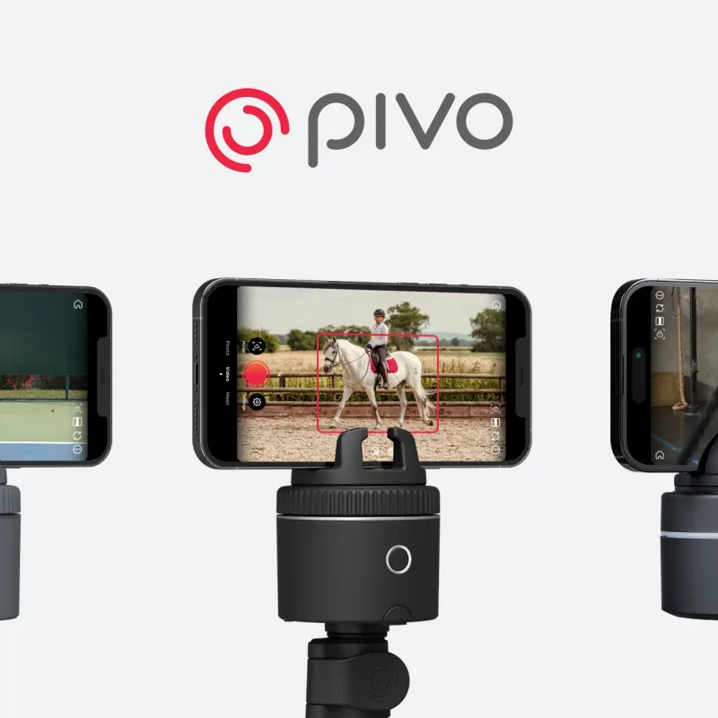 Pivo